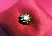 Sisi-Stern-Hofburg-Wien