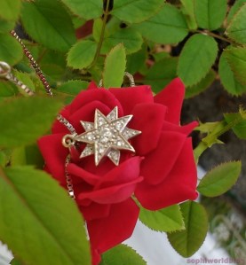 Sisi Stern_sophiworldblog