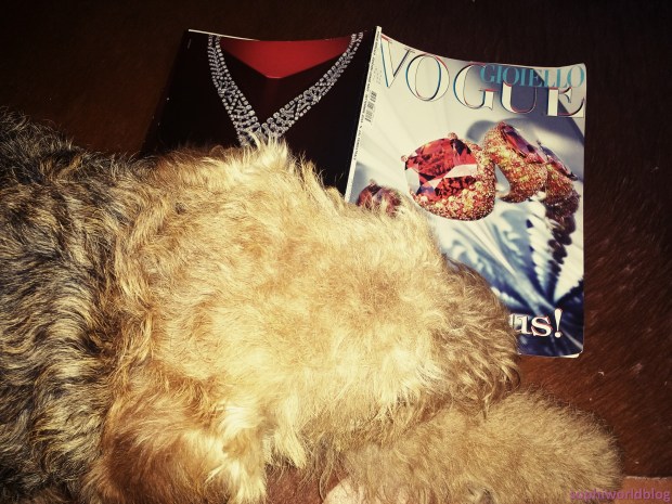 My'Dale Loves Jewels!sophiworldblog