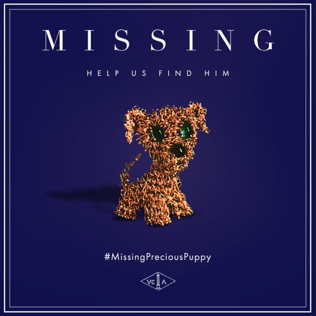 missingpreciouspuppy