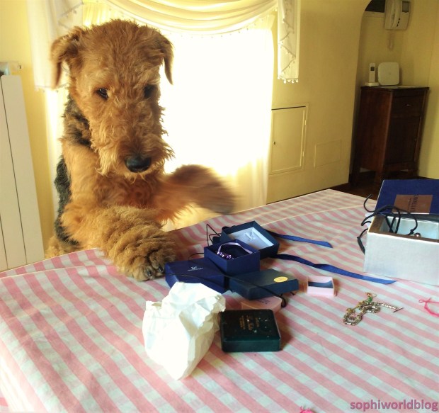 What jewel should I choose today_My'Dale loves jewels_sophiworldblog