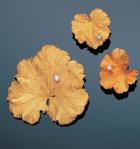 a-gold-and-diamond-leaf-brooch-and-earclip-suite-by-andrew-grima. sophiworldblog.com