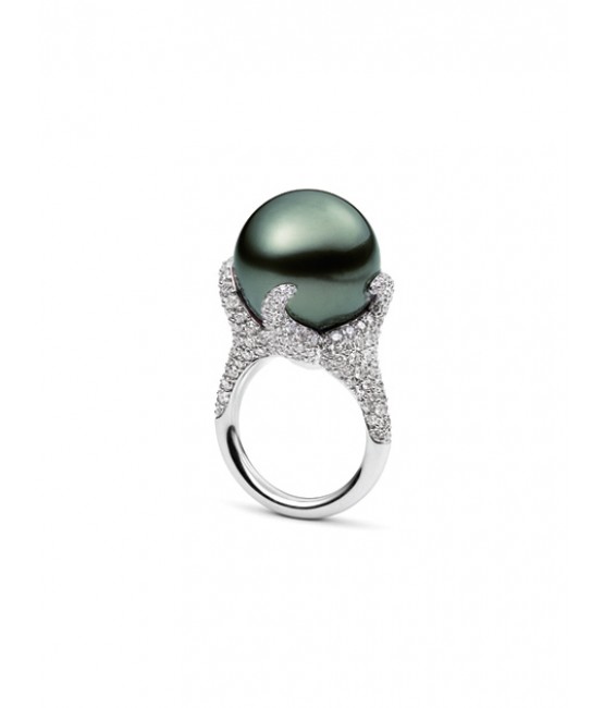 Black South Sea cultured Pearl and Diamond Pave Ring of Mikimoto.sophiworldblog.com
