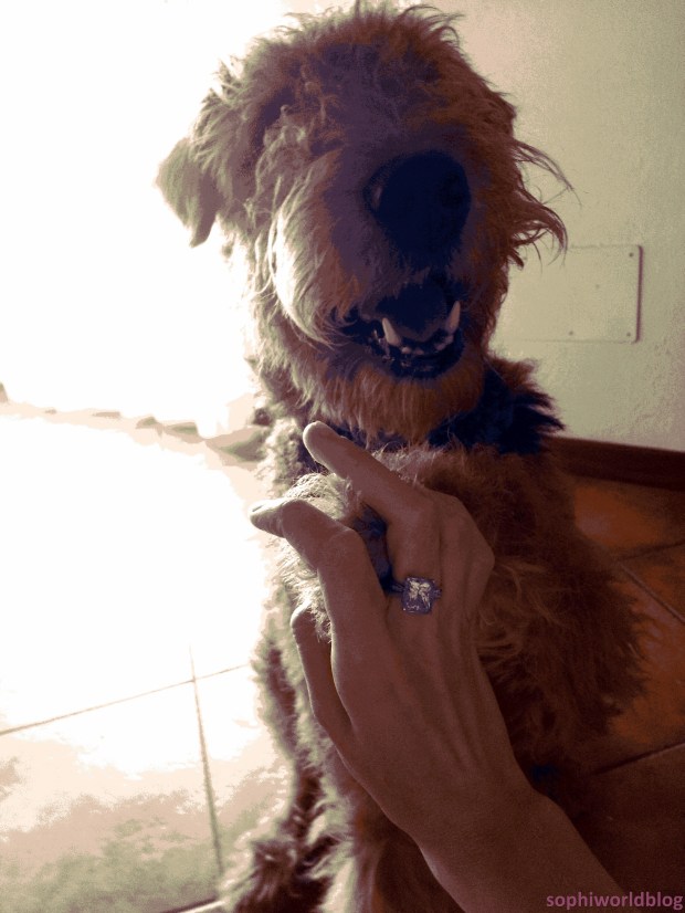 My'Dale love Jewels_Give me Five and Smile. sophiworldblog