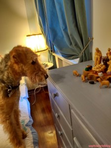 airedale-and-crib