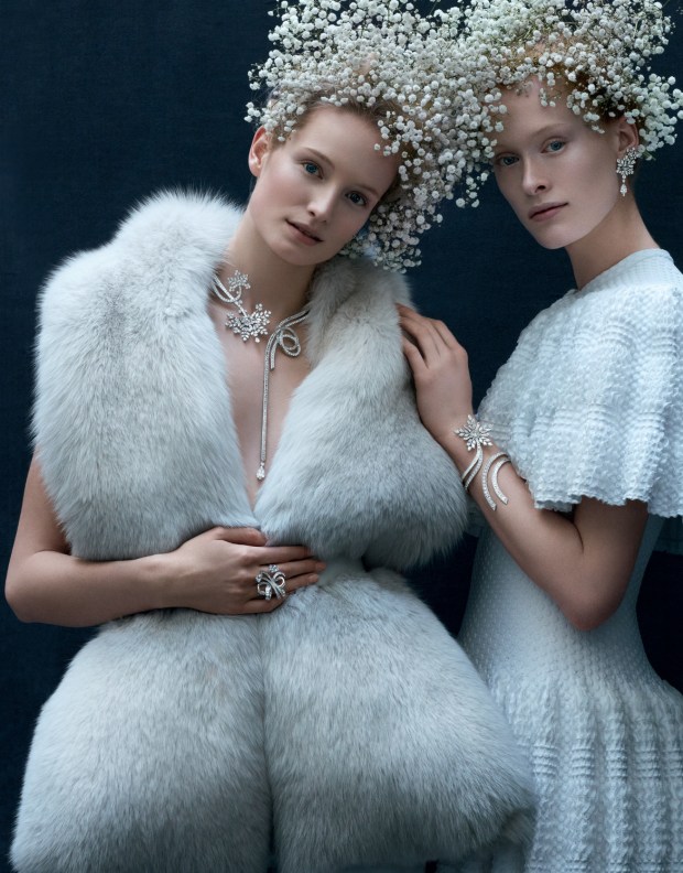 Van Cleef&Arpels ContesHiver!7 Winter Jewels fit for a Snow Queen!Read more on www.sophiworldblog.com